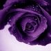 Aida Music - Facebook