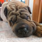 Aida Bau Simo - @sulia1986 - Instagram