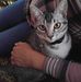 Aida Tavera - Facebook