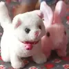 Aida Tello - @aida.tello6 - TikTok