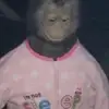 aidan.terry - @aidan.terry - TikTok
