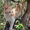 Aida Tomas - @aida.tomas5 - TikTok