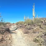 aida townsend - @aida6549ah - Instagram