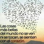 Aida Ulloa - @ulloaaida - Instagram