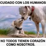 Aida Valle - @aida.valle.399 - Instagram
