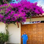 Aida Velarde - @aida_velarde08 - Instagram