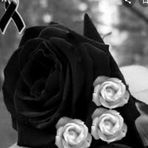 Aida Velarde - Facebook