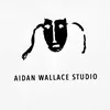 Aidan Wallace - @aidanwallacestudio - TikTok