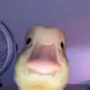 Aidan Walls - @aidanwalls1 - TikTok
