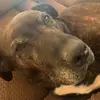 Aidan.Walls1212 - @aidan.walls1029 - TikTok