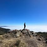 @aidanmwarner - Instagram