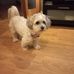 Aida Watt - Facebook