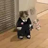 aidanwolfgong - @aidanwolfgong - TikTok