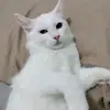 Aidah - @aidahabdullah77 - TikTok