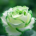 Aidah R Abdullah - Facebook