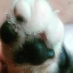 Aidaly Camacho Vargas - @aliycv - Instagram
