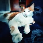 Nohora Aidaly Castillo Figueredo - @nohora235 - Instagram