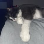 @aidanandersen - Instagram