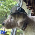 Aidan Anthony - @aidananthony213 - Instagram