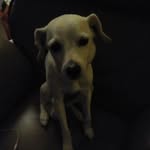 Aidan Arias - @aidan.arias.3 - Instagram