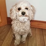 Aidan Arthur - @aidansarthur - Instagram