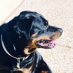 Aidan Badger - @a.badger12 - Instagram