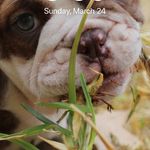 @aidanbadgerphotography - Instagram