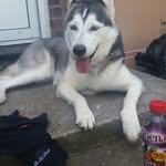 Aidan bailey - @aidanbailey1234 - Instagram