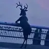Aidan Ball - @aidan.ball - TikTok