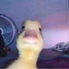 Aidan Barlow - @aidanbarlow8 - TikTok