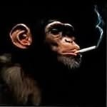 Aidanbaron - @_baron_________________ - Instagram