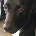 Aidan Baxter - @aidan_baxter2 - Instagram