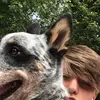 Aidan Beatty - @aidan_beatty23 - TikTok