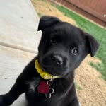 Aidan Belcher - @aidanbelcher123 - Instagram