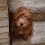Aidan Bender - @babybender34 - Instagram