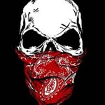 Aidan bentley - @stew_pesto - Instagram