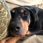 Aidan Benton - @dbznuggets - Instagram