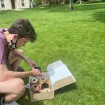 Aidan Berman - @getoutandeat1 - Instagram