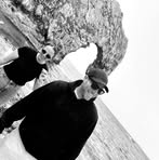 Aiden Bevan - Facebook