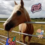 Aiden Biggins - @bigginsaidan - Instagram