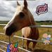 Aiden Biggins - Facebook