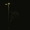 Aidan Bishop - @aidanbishop25 - TikTok