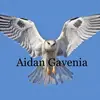 Aidan Gavenia El halcón blanco - @aidanbgs6y8 - TikTok