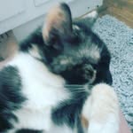 Aidan Cole Bonner - @aidancolebonner - Instagram