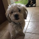 Aidan Bowman - @bowman.aidan - Instagram