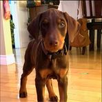 Aidan Boyd - Facebook