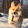 aidan.brewer - @aidan.brewer - TikTok