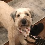 Aidan Browne - @aidanbrowne22 - Instagram