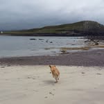 Aidan Browne - @aidan.browne.5074 - Instagram
