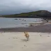 Aidan Browne - @aidan.browne0 - TikTok